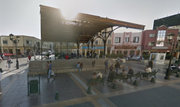 Insólita jornada en la Región de Coquimbo: Persecución a jinete ebrio y detención de sujeto que hizo sus nececidades en plena plaza